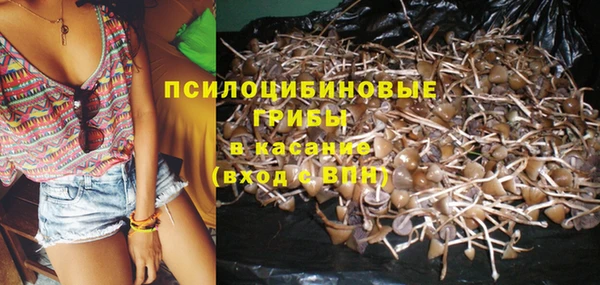spice Лабытнанги