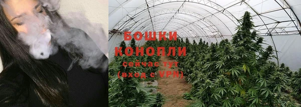 твердый Ладушкин