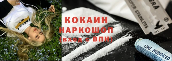 твердый Ладушкин