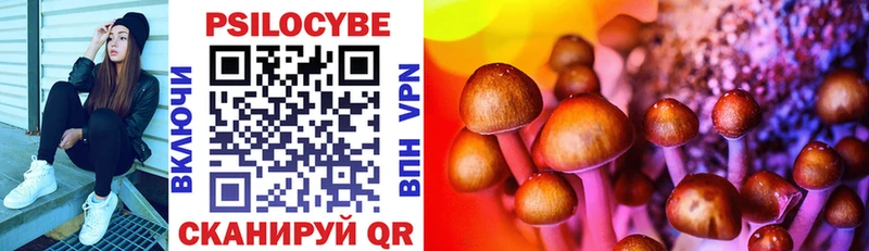 Галлюциногенные грибы Psilocybe  Люберцы 